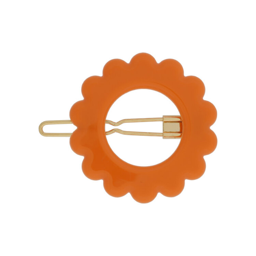 Daisy_.1505JPG.jpg Daisy_.1505JPG.jpg