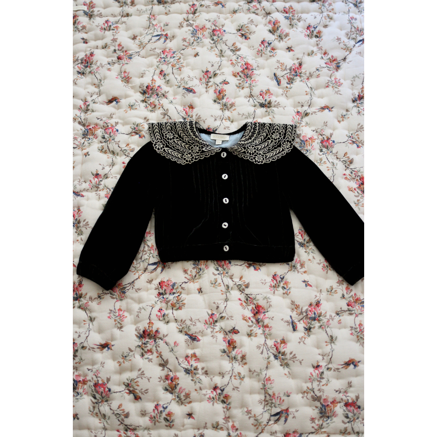 Crop Black Velvet Blouse